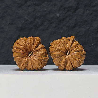 "Little Pumpkin Lion Head" Xiao Nan Gua Lion Head Collector Wenwan Walnuts Pair | 38.0mm x 39.0mm | SZ-S-041951