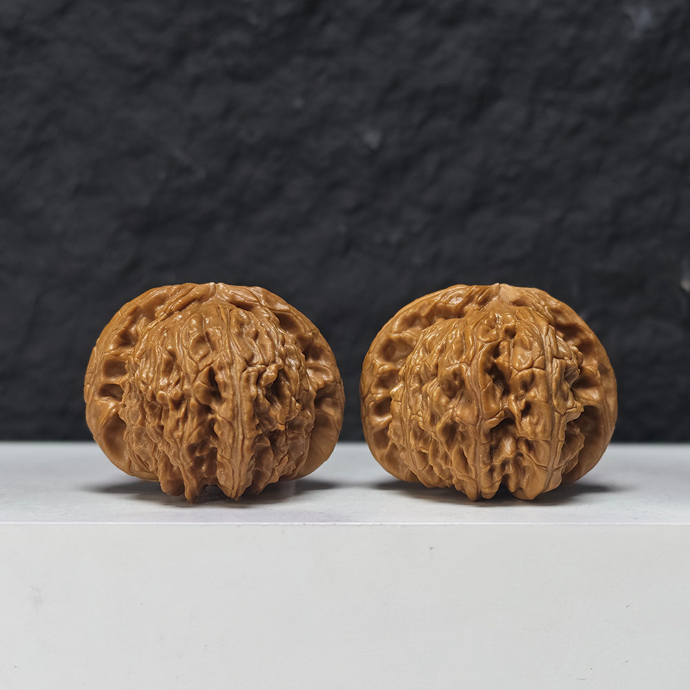 "Spherical White Lion Head" Qiu Xing Bai Shi Zi Collector Wenwan Walnuts Pair | 43.0mm x 42.0mm | BSZ-SS-014953