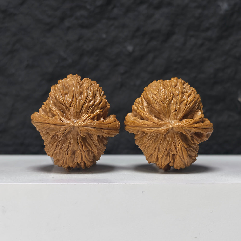 "Spherical White Lion Head" Qiu Xing Bai Shi Zi Collector Wenwan Walnuts Pair | 43.0mm x 42.0mm | BSZ-SS-014953