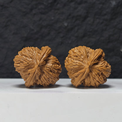 "Spherical White Lion Head" Qiu Xing Bai Shi Zi Collector Wenwan Walnuts Pair | 43.0mm x 42.0mm | BSZ-SS-014953