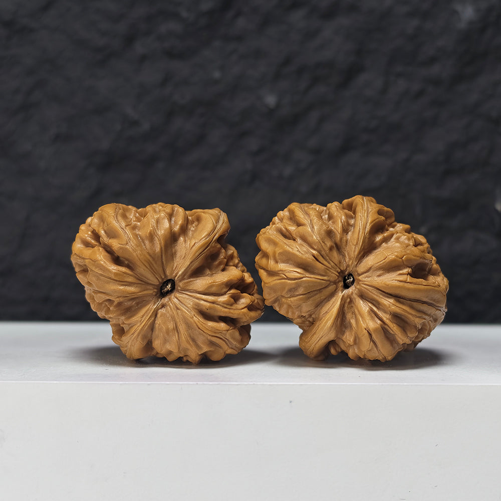 "Rolling Donkey Arch Bridge Concave Base" Lv Da Gun Gong Qiao Ao Di Collector Wenwan Walnuts Pair | 39.0mm x 45.0mm | LDG-S-002958