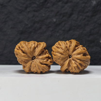 "Rolling Donkey Arch Bridge Concave Base" Lv Da Gun Gong Qiao Ao Di Collector Wenwan Walnuts Pair | 39.0mm x 45.0mm | LDG-S-002958