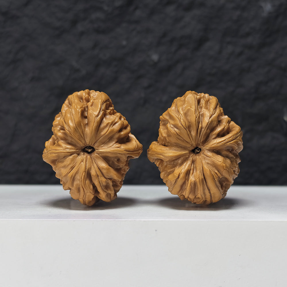 "Rolling Donkey Arch Bridge Concave Base" Lv Da Gun Gong Qiao Ao Di Collector Wenwan Walnuts Pair | 39.0mm x 45.0mm | LDG-S-002958
