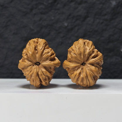 "Rolling Donkey Arch Bridge Concave Base" Lv Da Gun Gong Qiao Ao Di Collector Wenwan Walnuts Pair | 39.0mm x 45.0mm | LDG-S-002958