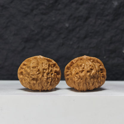 "Arch Bridge Concave Base Little Pumpkin Dun" Gong Qiao Ao Di Xiao Nan Gua Dun Collector Wenwan Walnuts Pair | 38.0mm x 40.0mm | SZ-S-043956