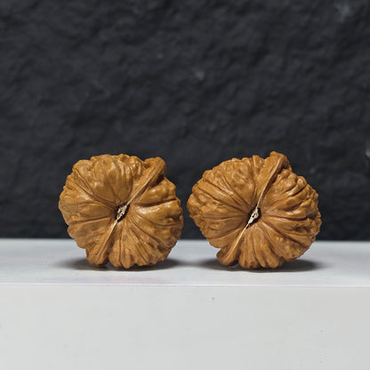 "Arch Bridge Concave Base Little Pumpkin Dun" Gong Qiao Ao Di Xiao Nan Gua Dun Collector Wenwan Walnuts Pair | 38.0mm x 40.0mm | SZ-S-043956