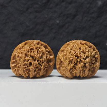 "Concave Base White Lion Head" Ao Di Bai Shi Zi Collector Wenwan Walnuts Pair | 46.0mm x 42.0mm | BSZ-SSS-003952