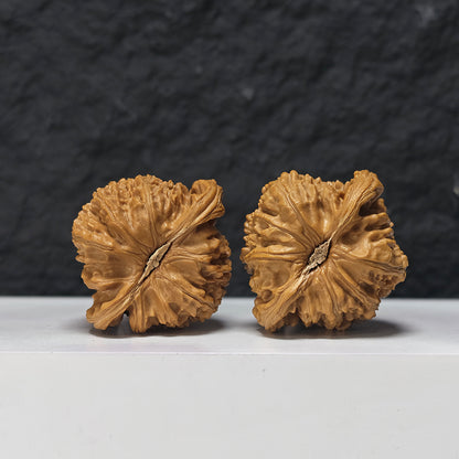 "Concave Base White Lion Head" Ao Di Bai Shi Zi Collector Wenwan Walnuts Pair | 46.0mm x 42.0mm | BSZ-SSS-003952
