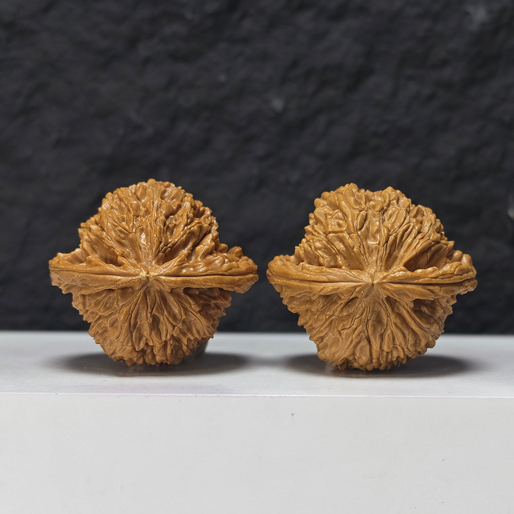 "Concave Base White Lion Head" Ao Di Bai Shi Zi Collector Wenwan Walnuts Pair | 46.0mm x 42.0mm | BSZ-SSS-003952