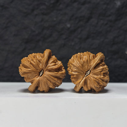 "Spherical White Lion Head" Qiu Xing Bai Shi Zi Collector Wenwan Walnuts Pair | 41.0mm x 41.0mm | BSZ-S-016949