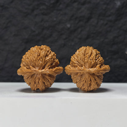 "Spherical White Lion Head" Qiu Xing Bai Shi Zi Collector Wenwan Walnuts Pair | 41.0mm x 41.0mm | BSZ-S-016949