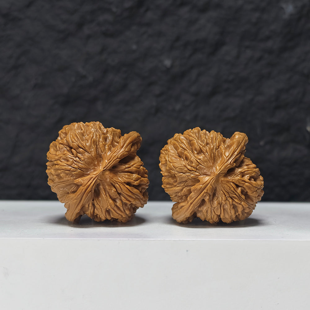 "Spherical White Lion Head" Qiu Xing Bai Shi Zi Collector Wenwan Walnuts Pair | 41.0mm x 41.0mm | BSZ-S-016949