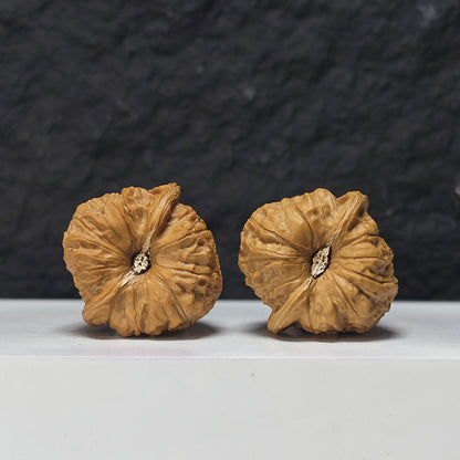 "Concave Base Pumpkin Dun" Ao Di Nan Gua Dun Collector Wenwan Walnuts Pair | 40.0mm x 40.0mm | SZ-S-040947