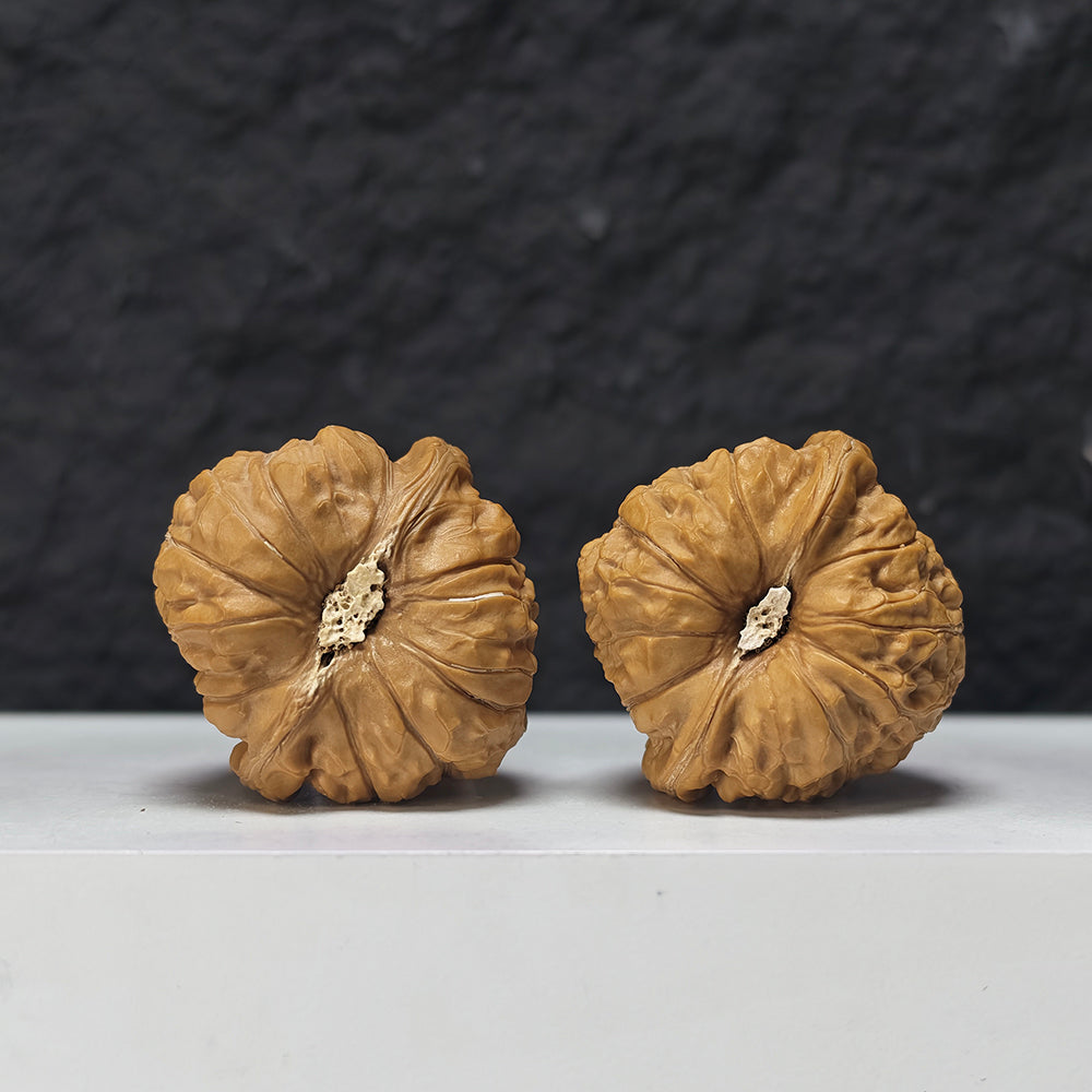 "Pumpkin Dun Lion Head" Nan Gua Dun Collector Wenwan Walnuts Pair | 41.0mm x 41.0mm | SZ-S-042955