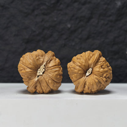 "Pumpkin Dun Lion Head" Nan Gua Dun Collector Wenwan Walnuts Pair | 41.0mm x 41.0mm | SZ-S-042955