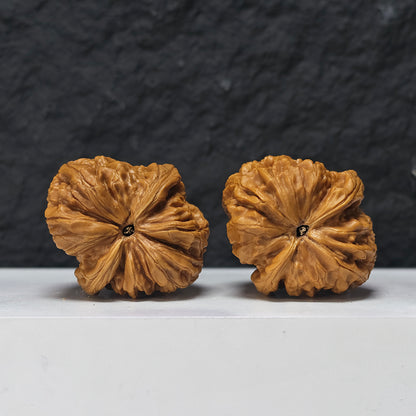 "Rolling Donkey" Lv Da Gun Collector Wenwan Walnuts Pair | 43.0mm x 48.0mm | LDG-SS-005954
