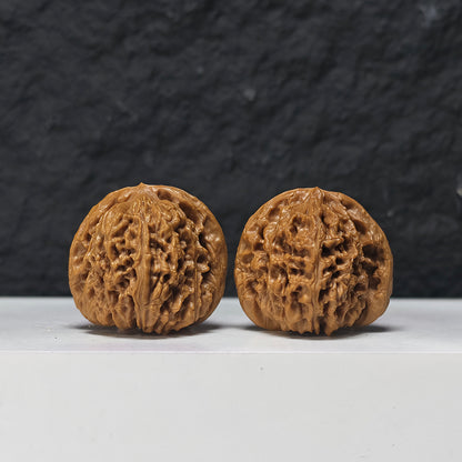 "Spherical White Lion Head" Qiu Xing Bai Shi Zi Collector Wenwan Walnuts Pair | 39.0mm x 39.0mm | BSZ-S-015945