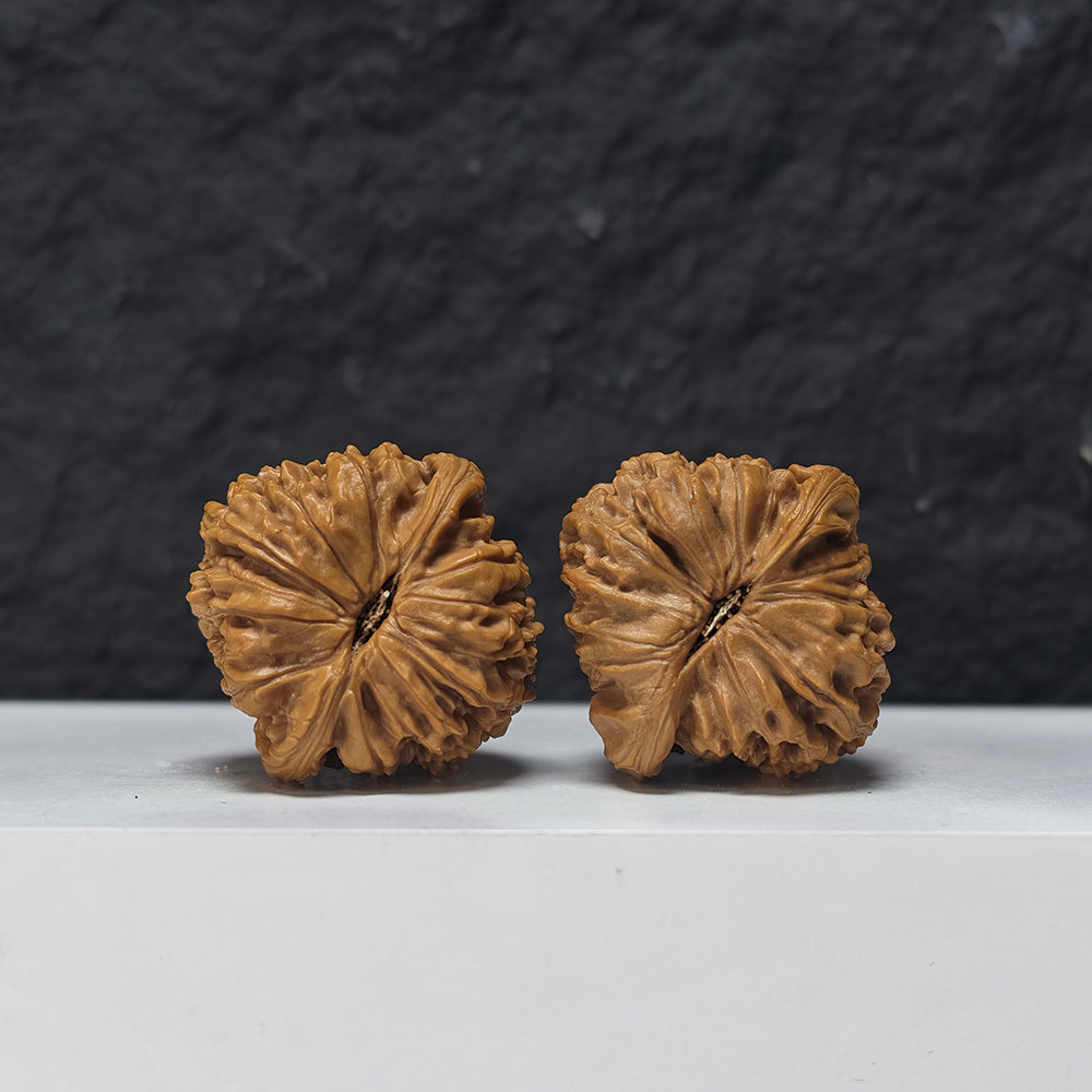 "Spherical White Lion Head" Qiu Xing Bai Shi Zi Collector Wenwan Walnuts Pair | 39.0mm x 39.0mm | BSZ-S-015945