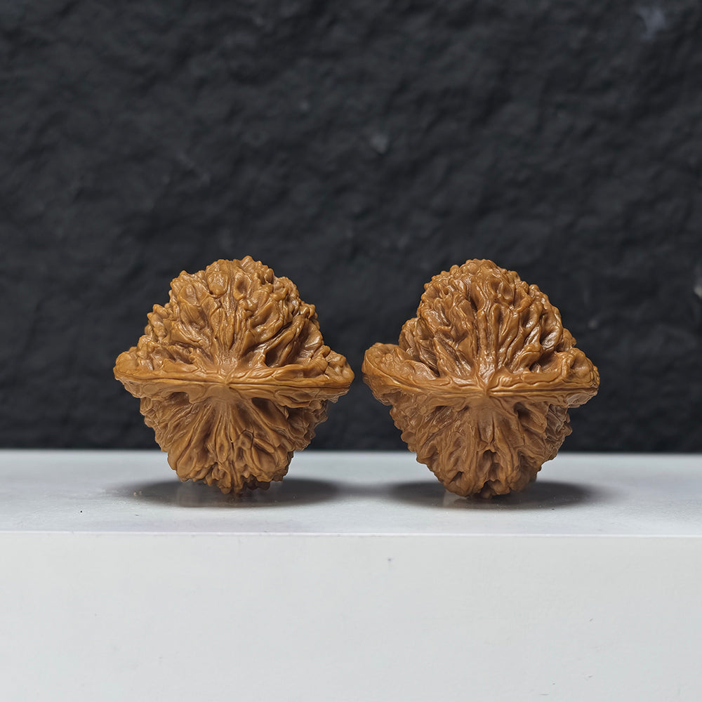 "Spherical White Lion Head" Qiu Xing Bai Shi Zi Collector Wenwan Walnuts Pair | 39.0mm x 39.0mm | BSZ-S-015945
