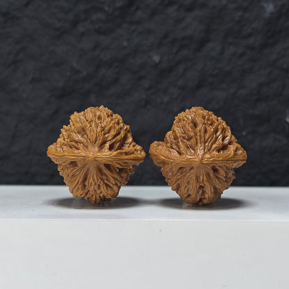 "Spherical White Lion Head" Qiu Xing Bai Shi Zi Collector Wenwan Walnuts Pair | 39.0mm x 39.0mm | BSZ-S-015945