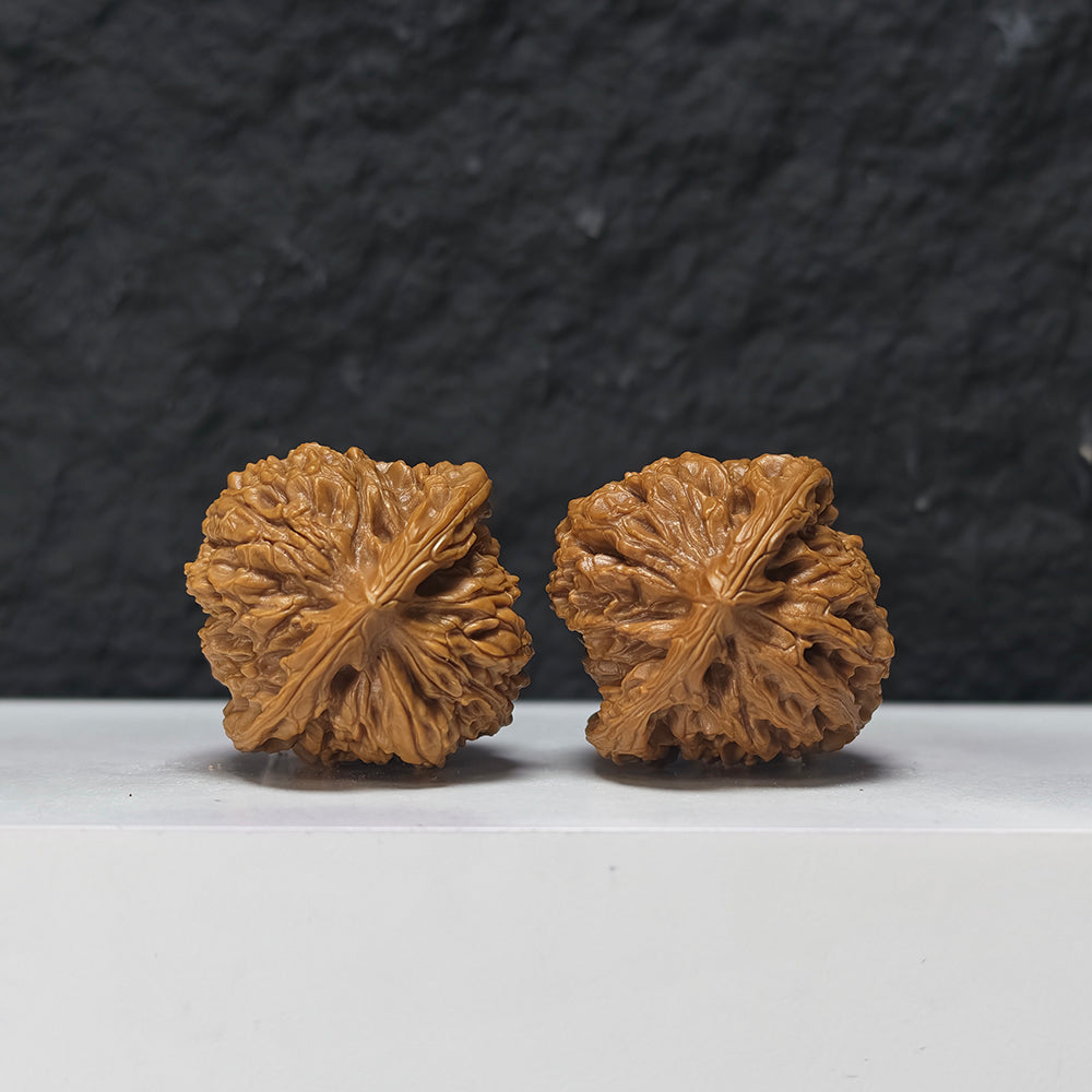 "Spherical White Lion Head" Qiu Xing Bai Shi Zi Collector Wenwan Walnuts Pair | 39.0mm x 39.0mm | BSZ-S-015945