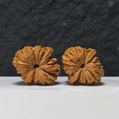 "Rolling Donkey Arch Bridge Concave Base" Lv Da Gun Gong Qiao Ao Di Collector Wenwan Walnuts Pair | 42.0mm x 46.0mm | LDG-SS-004948