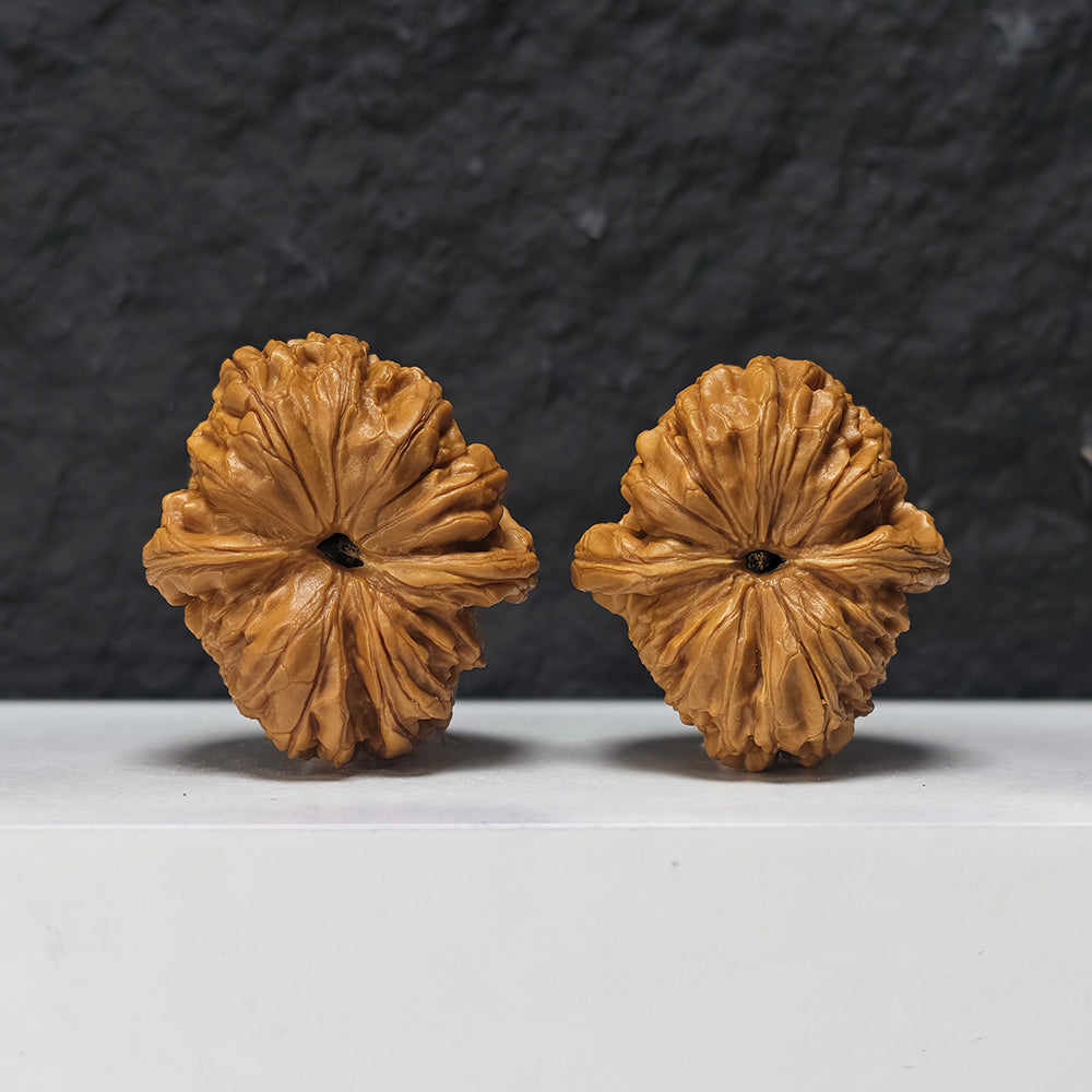 "Rolling Donkey Arch Bridge Concave Base" Lv Da Gun Gong Qiao Ao Di Collector Wenwan Walnuts Pair | 42.0mm x 46.0mm | LDG-SS-004948