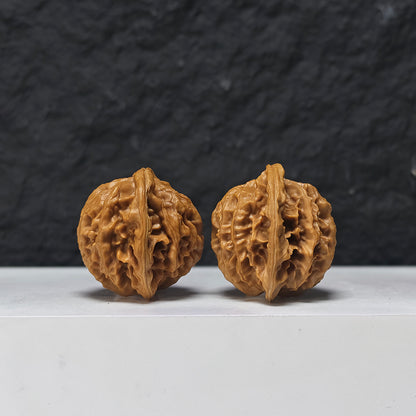 "Qin Gong Zi" Qin Gong Zi Classic Broad-Wing Flat-Base Wenwan Walnuts Pair | 40.0mm x 35.0mm | QGZ-A-006977