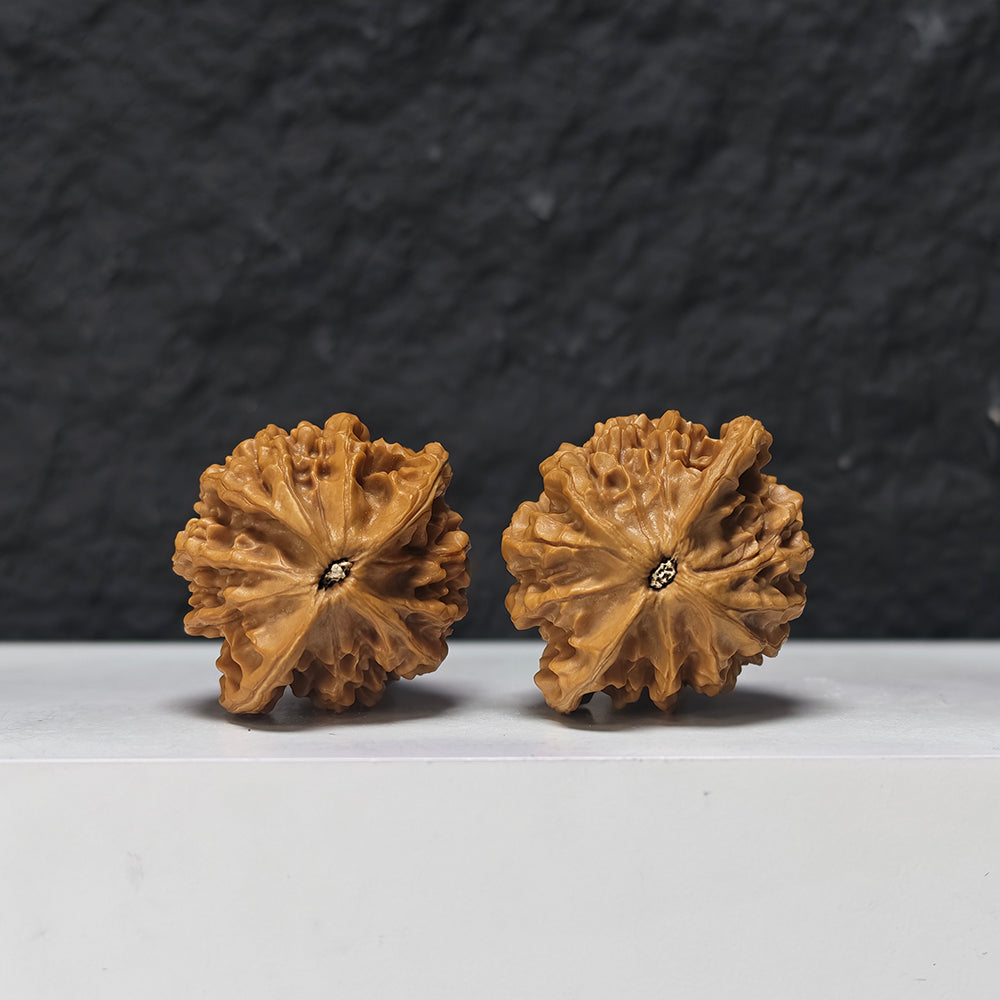 "Qin Gong Zi" Qin Gong Zi Classic Broad-Wing Flat-Base Wenwan Walnuts Pair | 40.0mm x 35.0mm | QGZ-A-006977