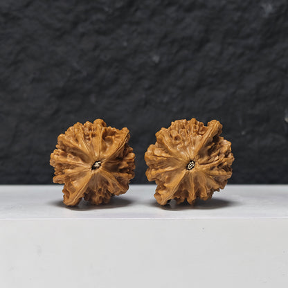 "Qin Gong Zi" Qin Gong Zi Classic Broad-Wing Flat-Base Wenwan Walnuts Pair | 40.0mm x 35.0mm | QGZ-A-006977