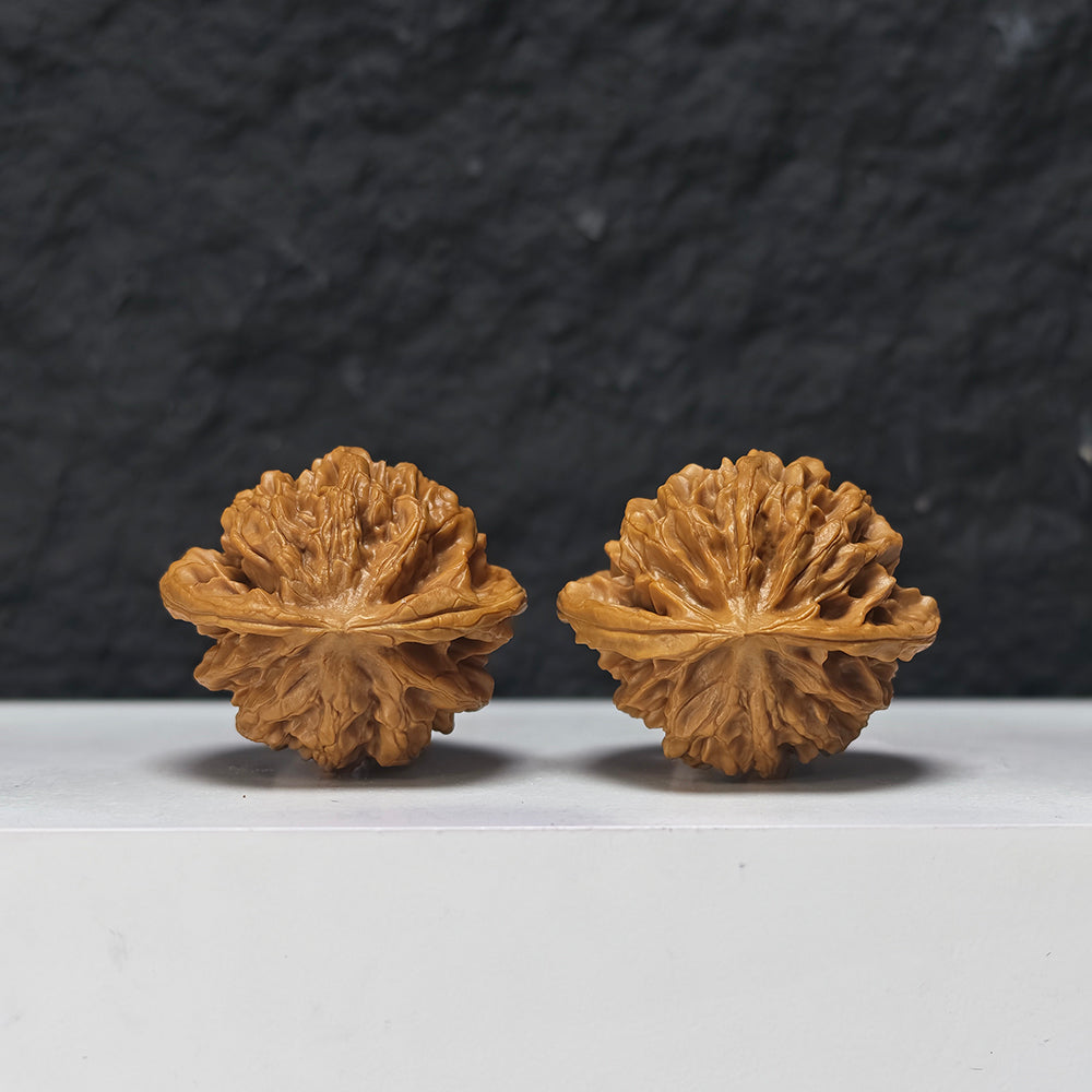"Qin Gong Zi" Qin Gong Zi Classic Broad-Wing Flat-Base Wenwan Walnuts Pair | 40.0mm x 35.0mm | QGZ-A-006977