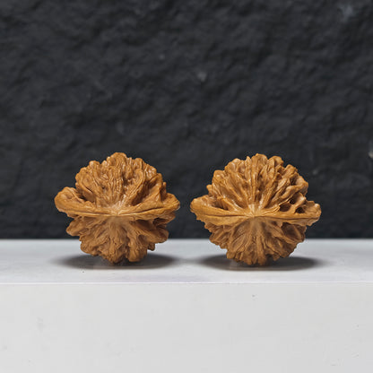 "Qin Gong Zi" Qin Gong Zi Classic Broad-Wing Flat-Base Wenwan Walnuts Pair | 40.0mm x 35.0mm | QGZ-A-006977