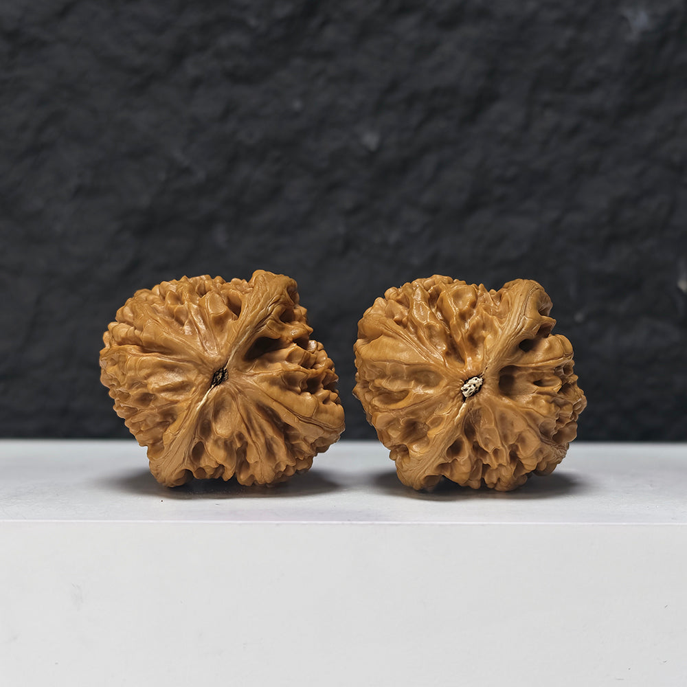 "Imperial Vessel" He Zun Collector Wenwan Walnuts Pair | 41.0mm x 43.0mm | SZ-SS-029979