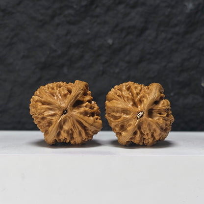 "Imperial Vessel" He Zun Collector Wenwan Walnuts Pair | 41.0mm x 43.0mm | SZ-SS-029979