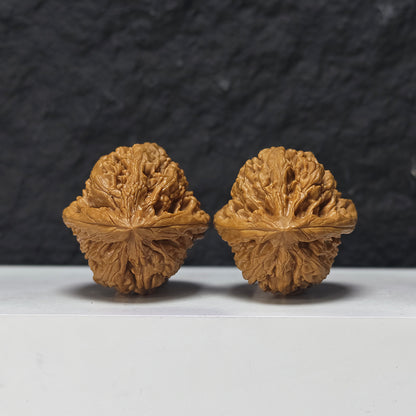 "Imperial Vessel" He Zun Collector Wenwan Walnuts Pair | 41.0mm x 43.0mm | SZ-SS-029979