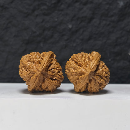 "Imperial Vessel" He Zun Collector Wenwan Walnuts Pair | 41.0mm x 43.0mm | SZ-SS-029979