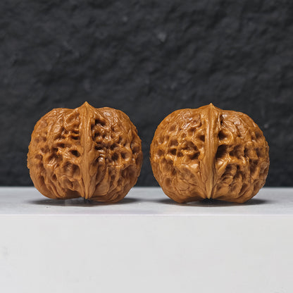 "Pocket Grand Reunion Lion Head" Xiu Zhen Da Tuan Yuan Collector Wenwan Walnuts Pair | 35.0mm x 40.0mm | SZ-S-048975