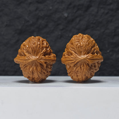 "Pocket Grand Reunion Lion Head" Xiu Zhen Da Tuan Yuan Collector Wenwan Walnuts Pair | 35.0mm x 40.0mm | SZ-S-048975