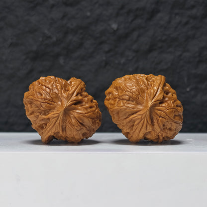"Pocket Grand Reunion Lion Head" Xiu Zhen Da Tuan Yuan Collector Wenwan Walnuts Pair | 35.0mm x 40.0mm | SZ-S-048975
