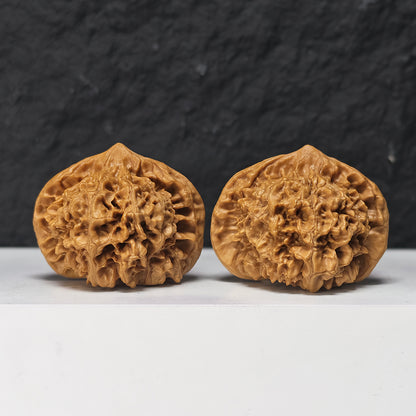 "Qi Lin Pattern Concave Base Squat Lion Head" Qi Lin Wen Ao Di Lion Head Collector Wenwan Walnuts Pair | 50.0mm x 46.0mm | SZ-SS-028976