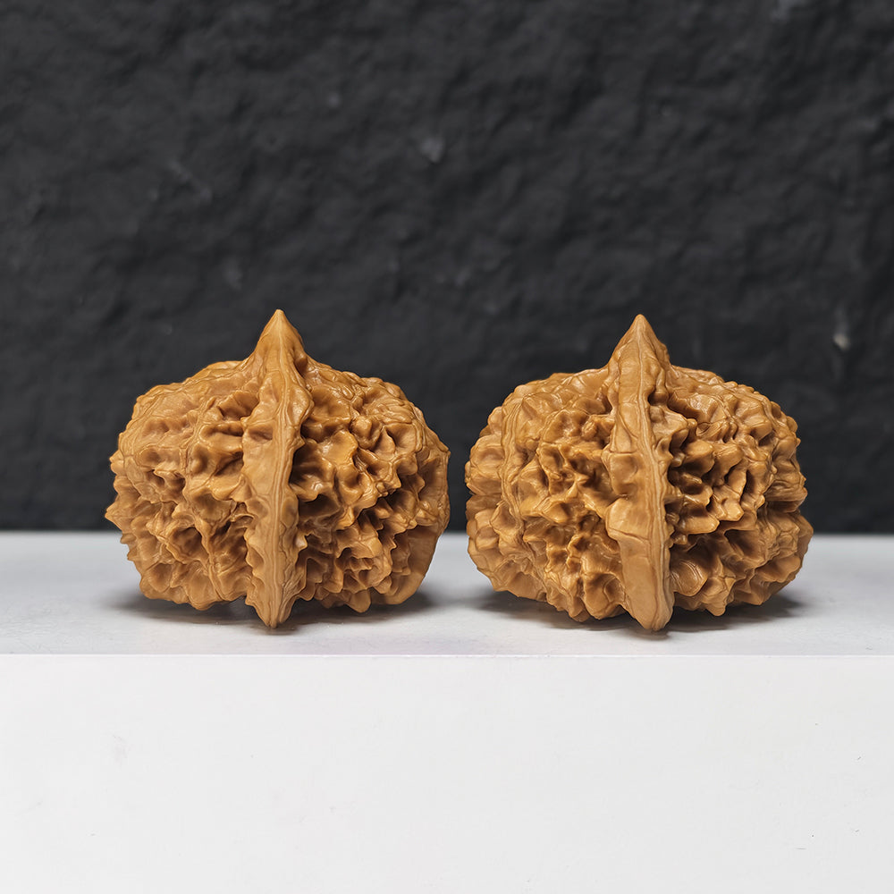 "Qi Lin Pattern Concave Base Squat Lion Head" Qi Lin Wen Ao Di Lion Head Collector Wenwan Walnuts Pair | 50.0mm x 46.0mm | SZ-SS-028976