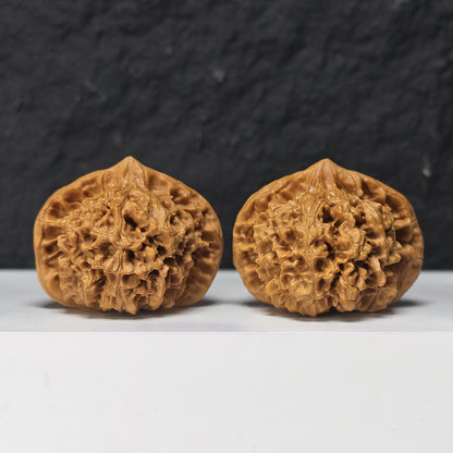 "Qi Lin Pattern Concave Base Squat Lion Head" Qi Lin Wen Ao Di Lion Head Collector Wenwan Walnuts Pair | 50.0mm x 46.0mm | SZ-SS-028976