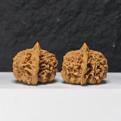 "Qi Lin Pattern Concave Base Squat Lion Head" Qi Lin Wen Ao Di Lion Head Collector Wenwan Walnuts Pair | 50.0mm x 46.0mm | SZ-SS-028976
