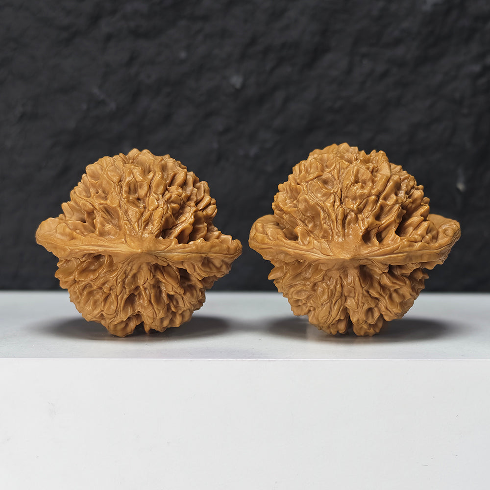 "Qi Lin Pattern Concave Base Squat Lion Head" Qi Lin Wen Ao Di Lion Head Collector Wenwan Walnuts Pair | 50.0mm x 46.0mm | SZ-SS-028976