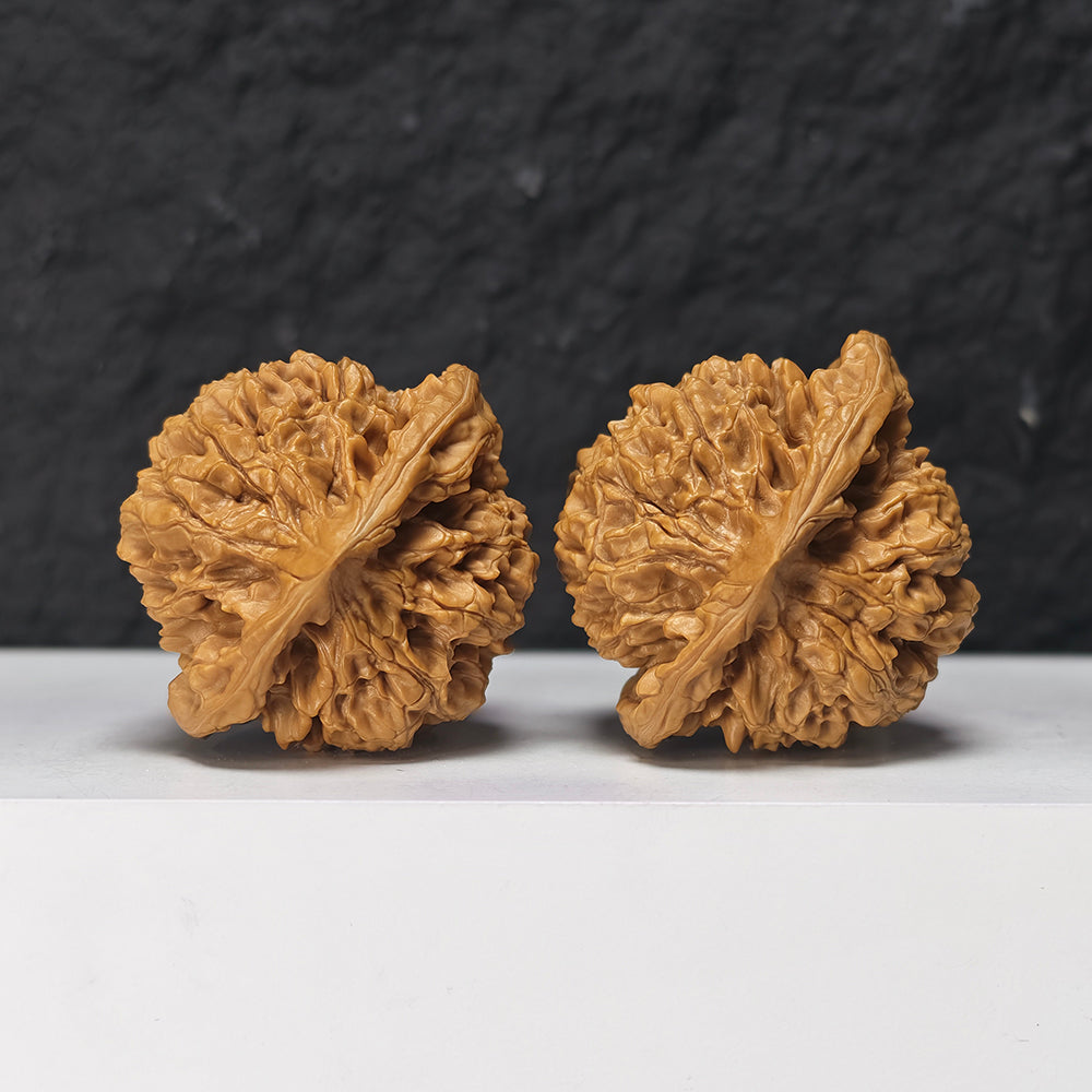 "Qi Lin Pattern Concave Base Squat Lion Head" Qi Lin Wen Ao Di Lion Head Collector Wenwan Walnuts Pair | 50.0mm x 46.0mm | SZ-SS-028976