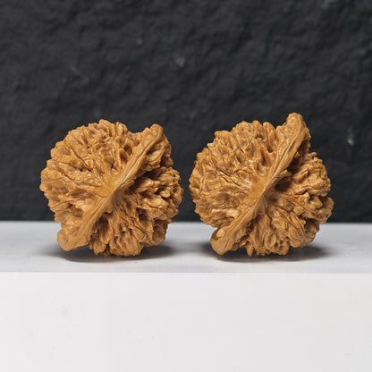 "Qi Lin Pattern Concave Base Squat Lion Head" Qi Lin Wen Ao Di Lion Head Collector Wenwan Walnuts Pair | 50.0mm x 46.0mm | SZ-SS-028976