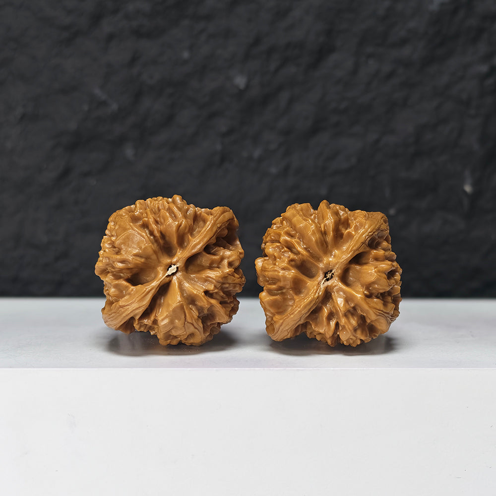 "Peach Heart Concave Base Wild Bison Lion Head" Tao Xin Ao Di Ye Niu Collector Wenwan Walnuts Pair | 38.0mm x 36.0mm | SZ-S-047971