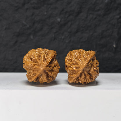 "Peach Heart Concave Base Wild Bison Lion Head" Tao Xin Ao Di Ye Niu Collector Wenwan Walnuts Pair | 38.0mm x 36.0mm | SZ-S-047971