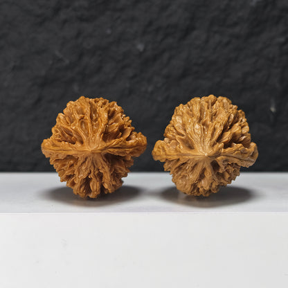 "Nine-Tier Demon Pagoda" Jiu Ceng Yao Ta Collector Wenwan Walnuts Pair | 42.0mm x 42.0mm | JX-SS-005974