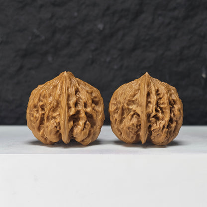 "Nine Dragons Valley Lion Head" Jiu Long Gu Collector Wenwan Walnuts Pair | 37.0mm x 38.0mm | JLG-S-002966